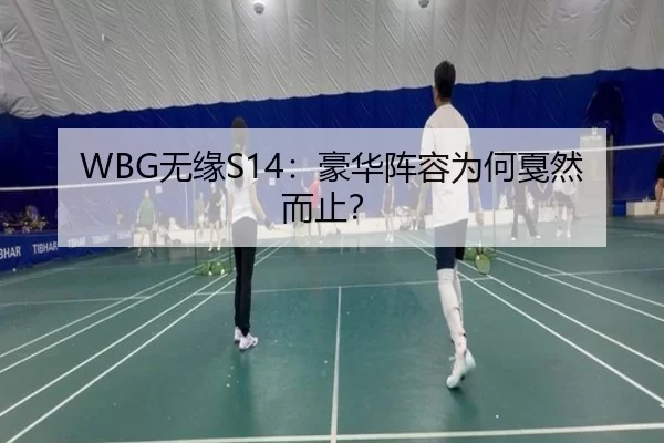 WBG无缘S14：豪华阵容为何戛然而止？